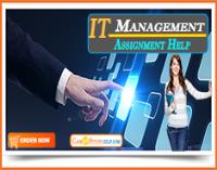 Best IT Management Assignment Help image 4